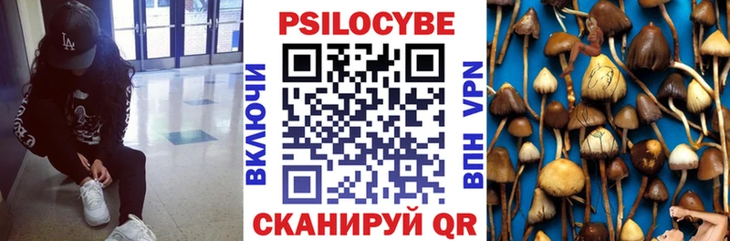 Галлюциногенные грибы мицелий  Купить где  Борзя 